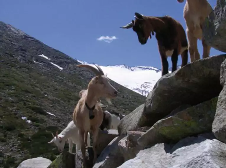 Traumhafte Wanderungen im Ötztal
