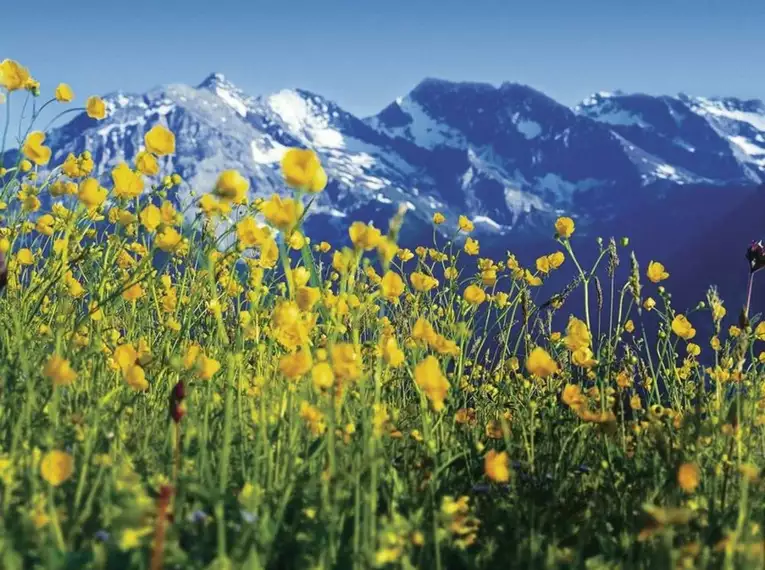 Traumhafte Wanderungen im Ötztal