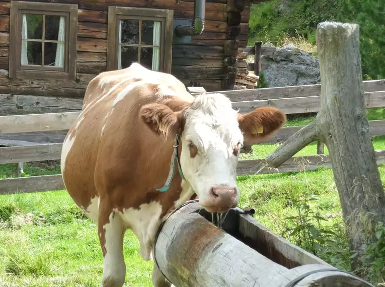 Seiser Alm Umrundung
