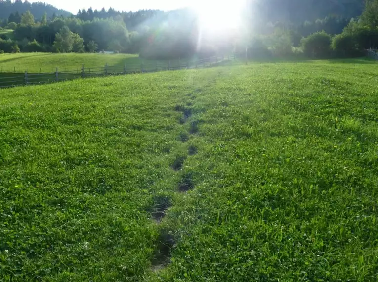Wandern und Wellness in den Allgäuer Alpen