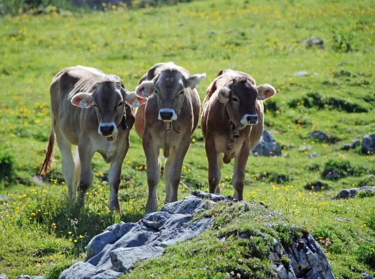Traumhafte Wanderungen im Ötztal