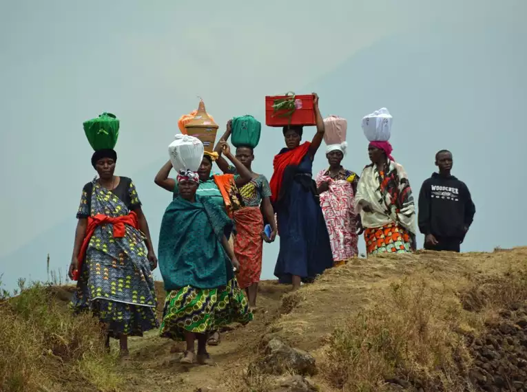Uganda: Auf den Spuren der majestätischen Berggorillas