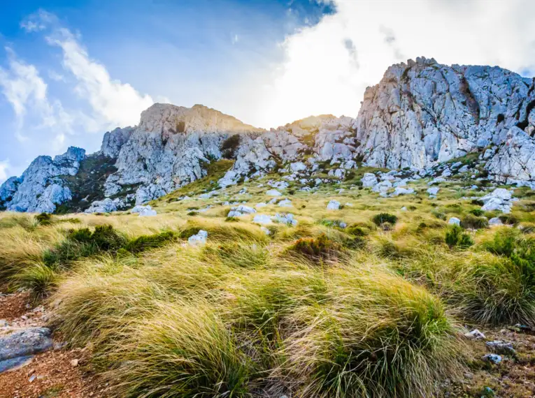 Mallorca gemütlich erwandern