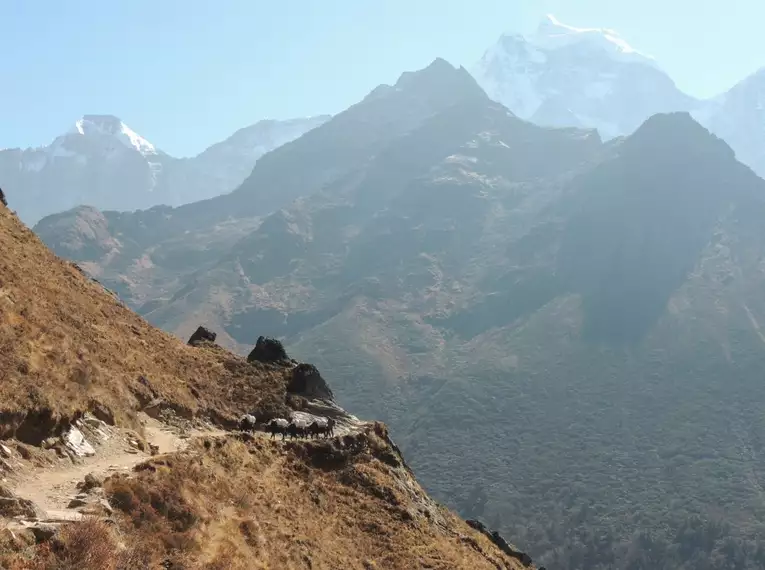 Nepal – Gokyo Lodge-Trek