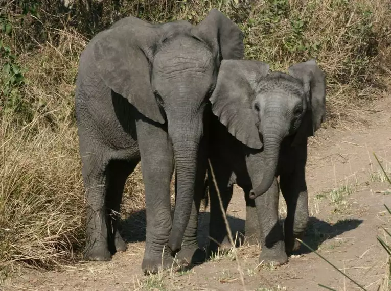 Südafrika und Namibia auf verborgenen Wegen erwandern