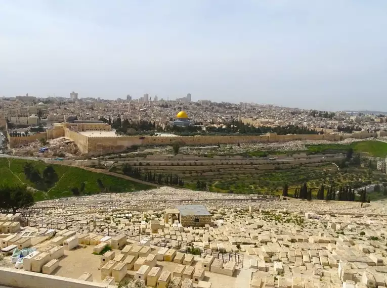 Israel für Einsteiger - Eine Reise durch Geschichte, Natur und Kultur