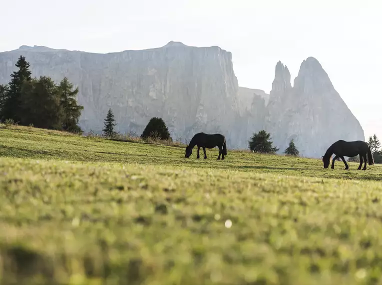 Dolomites Ronda