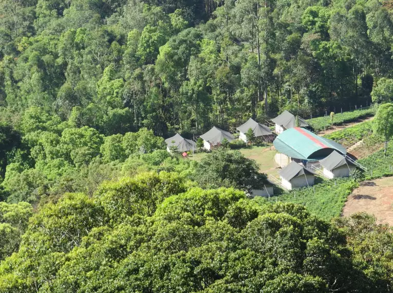 Indiens Süden: Keralas Naturschönheiten entdecken