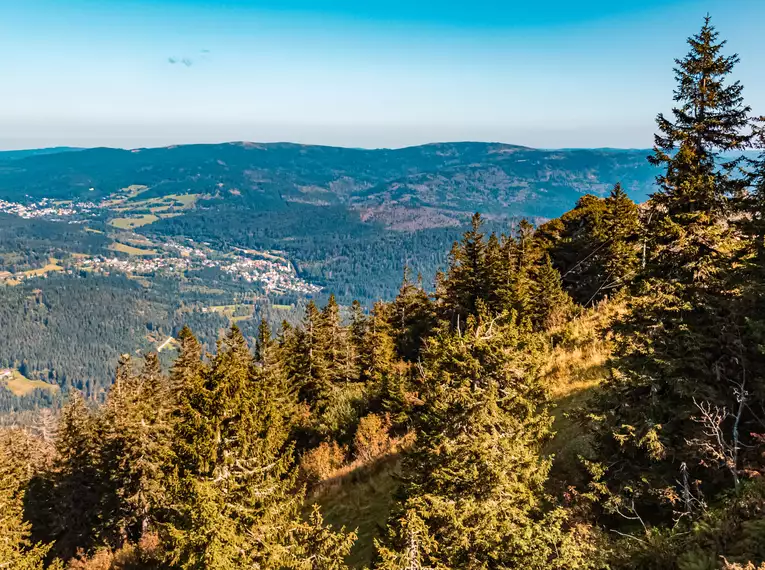 Die Highlights im Nationalpark Bayerischer Wald erwandern