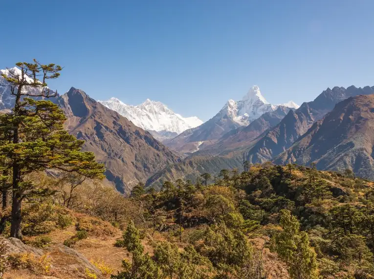 Panorama mit verschneiten Gipfeln und grünen Hängen im Himalaya