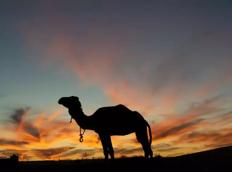 Silvester in der Wüste Marokkos