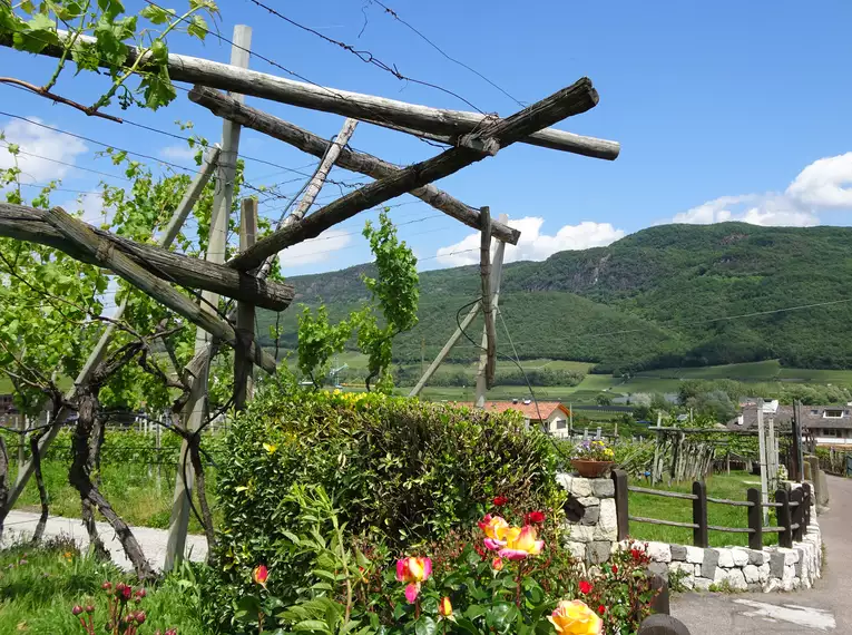Individuelle Wanderung entlang des Wein- und Almenwegs in Südtirol