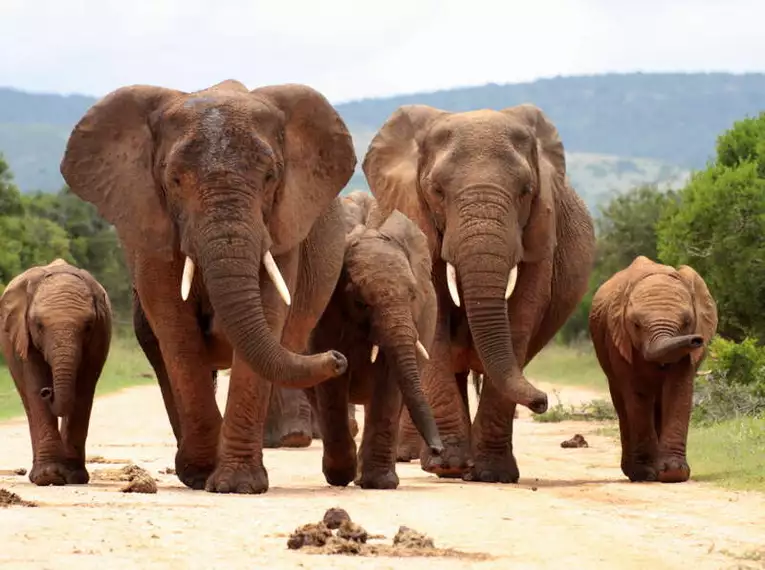 Südafrika - Wanderreise entlang der Garden Route