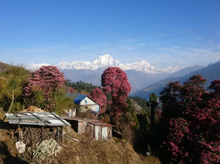 Nepal – Annapurna Panorama Lodge-Trek