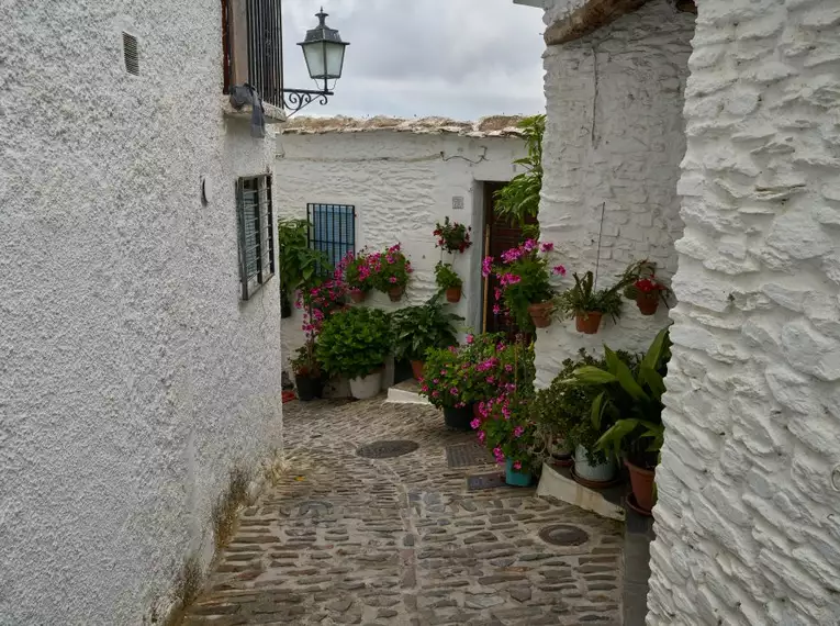 Andalusien entdecken: Eine Reise durch Natur, Geschichte und Kultur