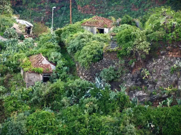 Grüne Vegetation und alte Gebäude auf La Palma, Kanaren.