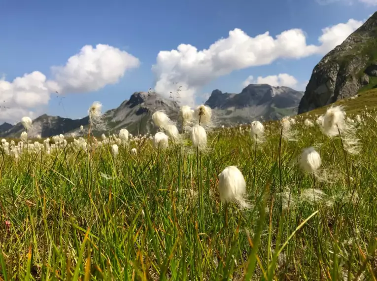Der Stubaier Höhenweg in den Tiroler Alpen
