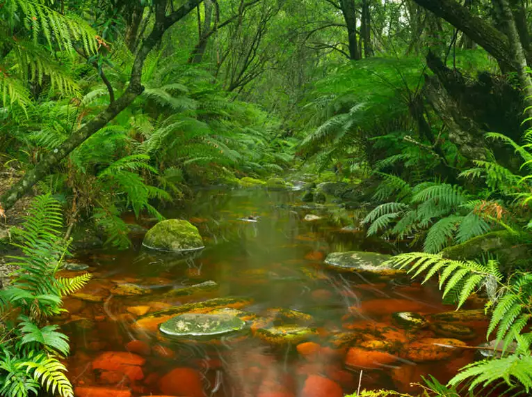 Südafrika - Wanderreise entlang der Garden Route