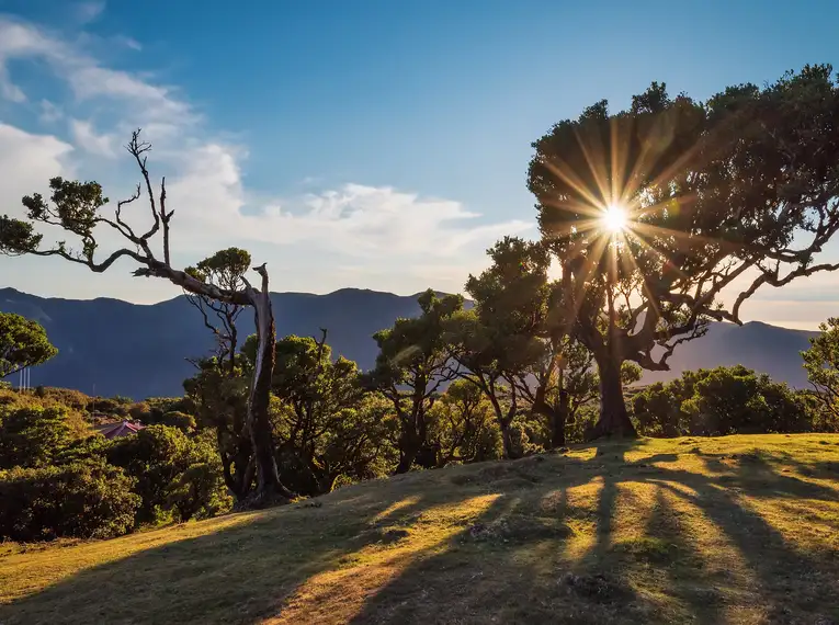 Madeiras Highlights erwandern – Bild 3