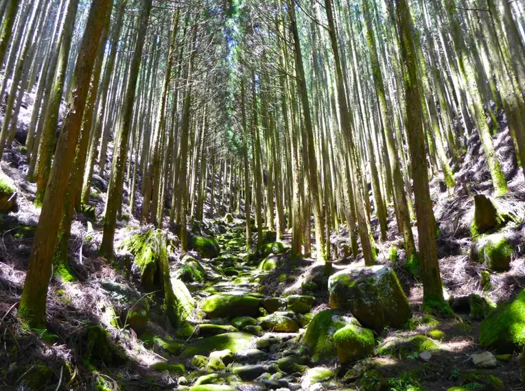 Japan – Wanderreise durch das Land der aufgehenden Sonne