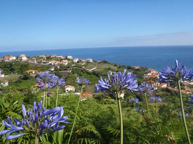 Madeira gemütlich erwandern – Bild 13