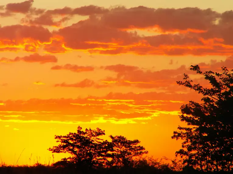 Die Highlights des südlichen Afrika erleben