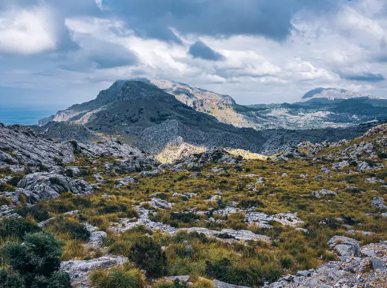 Silvester in Palma de Mallorca