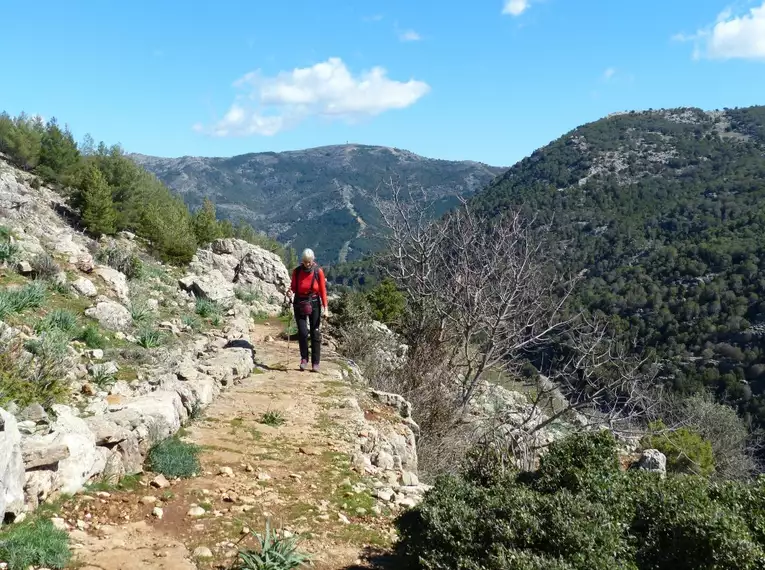 Sardiniens Zauber: Auf den Spuren der Hirtenpfade