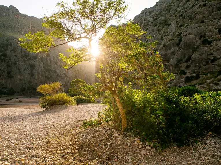 Mallorca individuell - die Ruta del Contraban