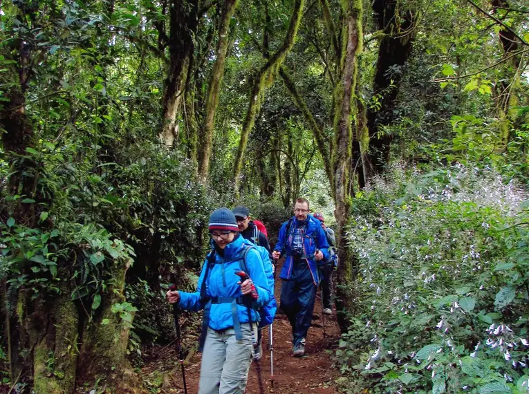 Kilimanjaro: Marangu-Route – Bild 13