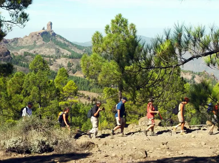 Die Highlights Gran Canarias erwandern
