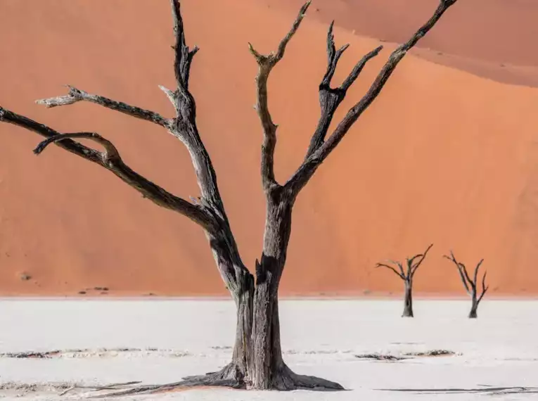 Namibia - die Wunderwelt der Wüsten