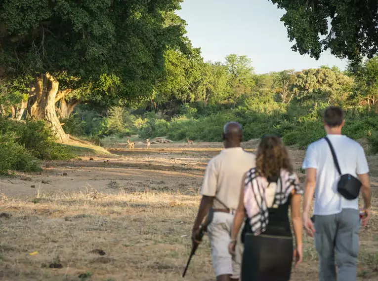 Südafrika - Drakensberge & Safari im Nordosten