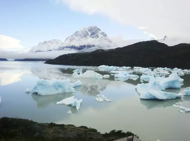 Eisberge im Lago Grey, Patagonien Blick auf treibende Eisberge im Lago Grey vor Bergkulisse in Patagonien.