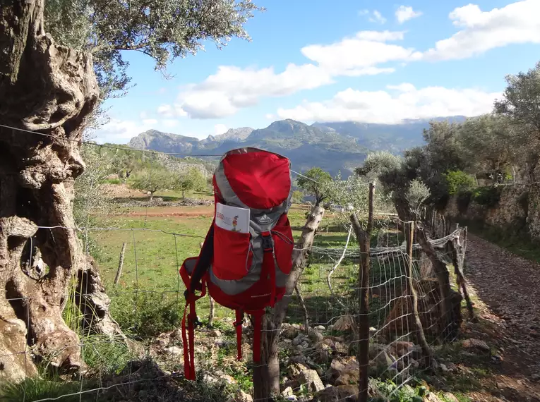 Individuelle Finca-Wanderung Mallorca - mit Charme