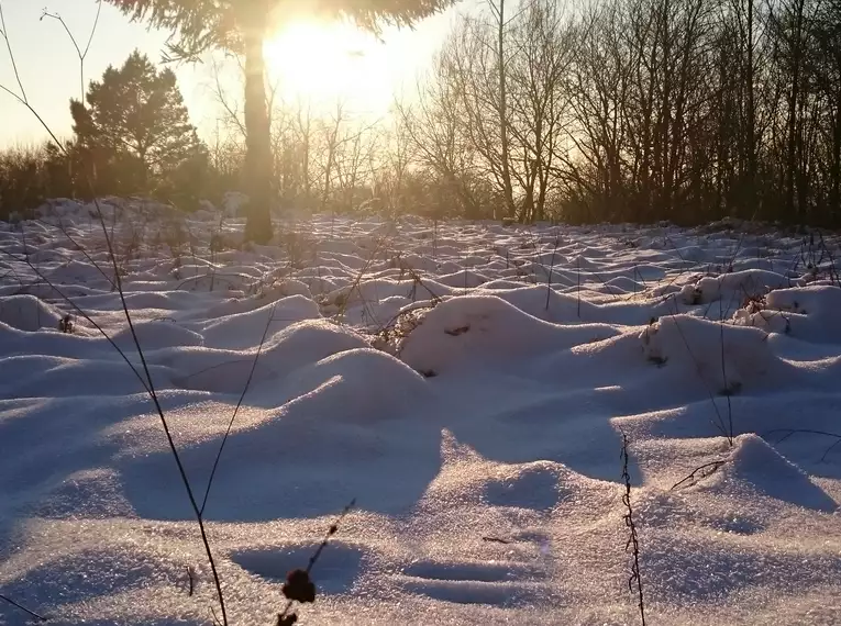 Schneeschuhwandern im Stubaital