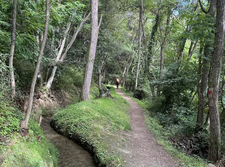Der Vinschgauer Höhenweg mit Gepäcktransport