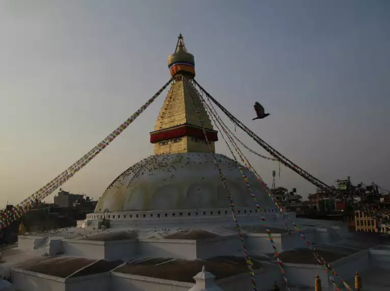 Stupa von Bodnath bei Sonnenuntergang Der goldene Stupa von Bodnath im Abendlicht, umgeben von Gebetsflaggen und einer umherfliegenden Taube.