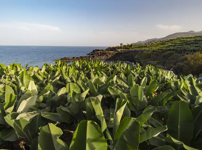 Silvester auf La Palma