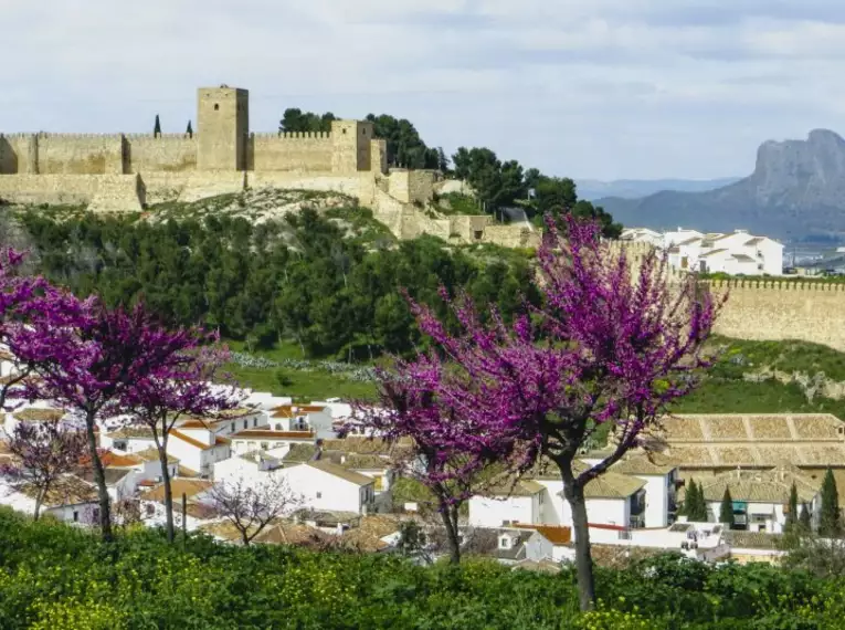 Andalusien entdecken: Eine Reise durch Natur, Geschichte und Kultur
