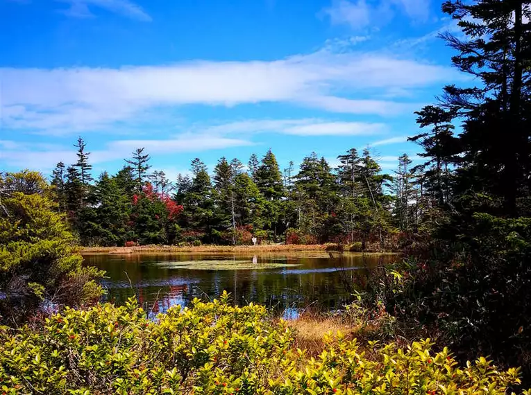 Naturwunder des Shiga-Hochlands Ein malerischer See umgeben von herbstlichen Bäumen in den Japanischen Alpen.