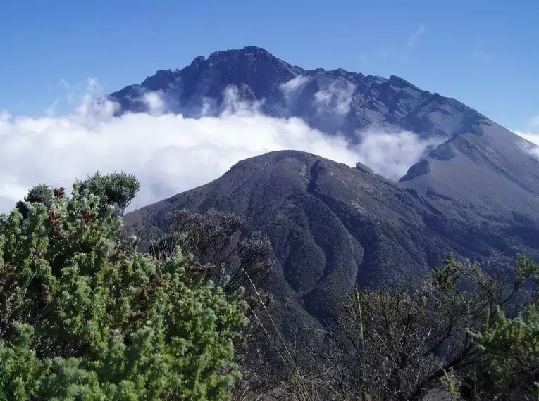Kilimanjaro individuell - Machame Route