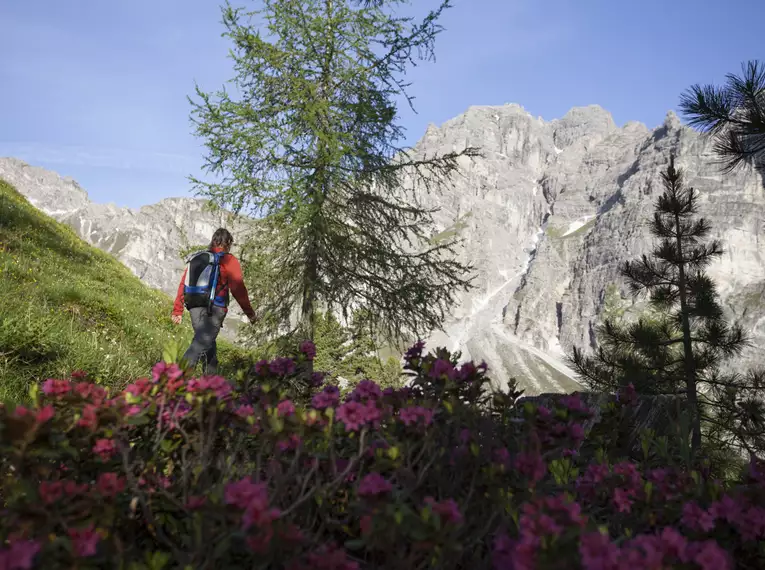 Alpenüberquerung individuell von Garmisch nach Bozen