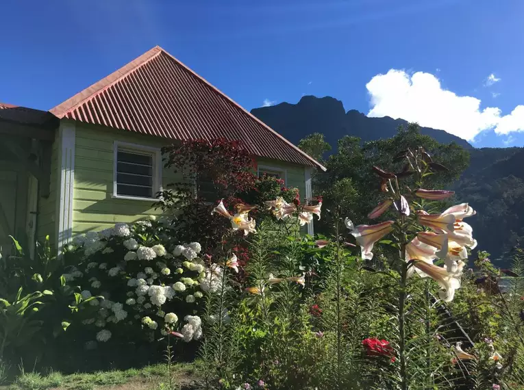 Ein charmantes kreolisches Haus umgeben von exotischen Pflanzen im Schatten der Berge auf La Réunion.