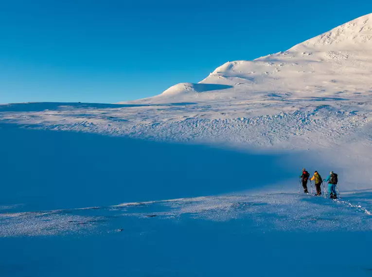 Schneeschuhwandern in Schwedisch Lappland - Die Berge & Wälder des Vindelfjällen