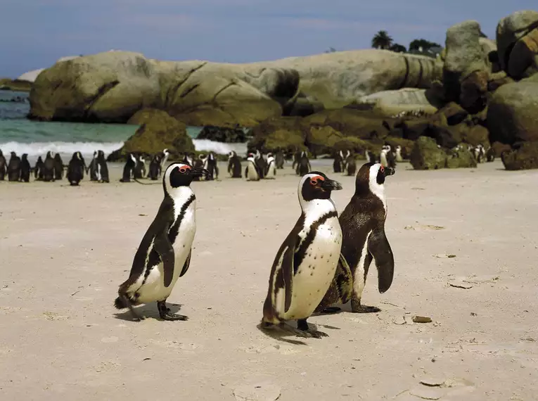 Südafrika und Namibia auf verborgenen Wegen erwandern