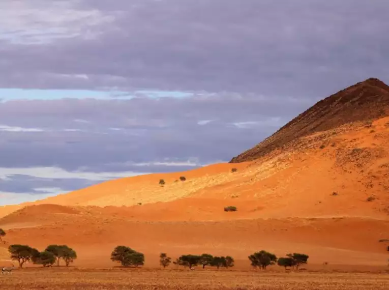 Namibias Naturwunder: Farbenpracht und grenzenlose Weite
