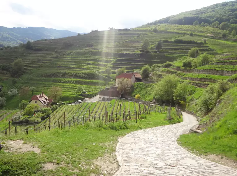 5-tägige individuelle Wanderungen Welterbesteig Wachau