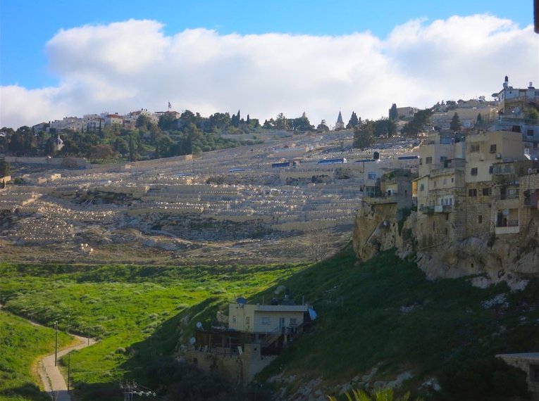 Israel für Einsteiger - Eine Reise durch Geschichte, Natur und Kultur
