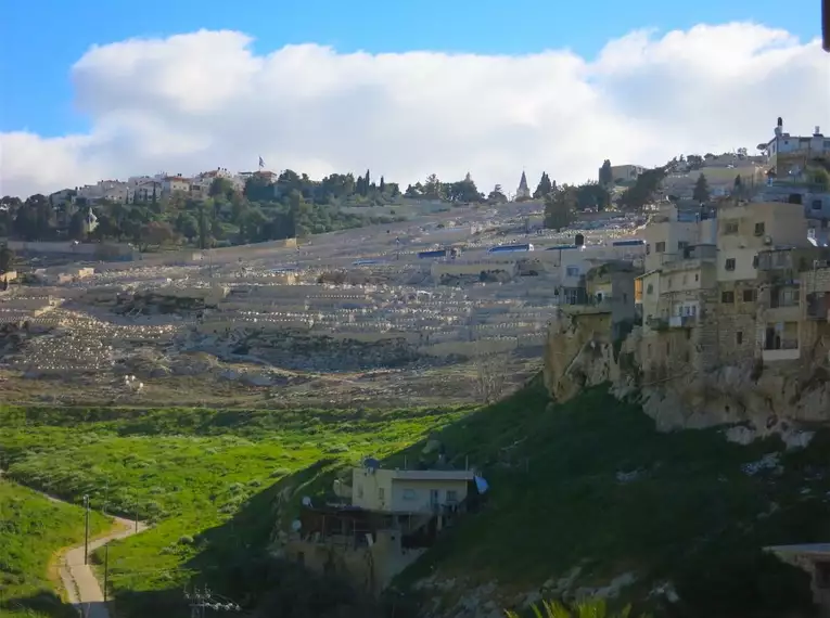Israel für Einsteiger - Eine Reise durch Geschichte, Natur und Kultur